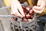Hands are seen handling a collection of chestnuts stored in a woven basket. The chestnuts are shiny and dark brown, some partially open, displaying an earthy texture. The person seems to be wearing a yellow knitted sweater.