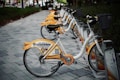 A row of rental bicycles with yellow and white designs parked on a paved pathway. The bikes are lined up in a docking station under trees, with grass on the sides of the path. Each bike features advertising and company branding on the rear wheel cover.
