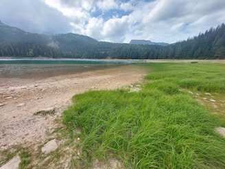 A peaceful lakeside scene surrounded by mountains and soft clouds.