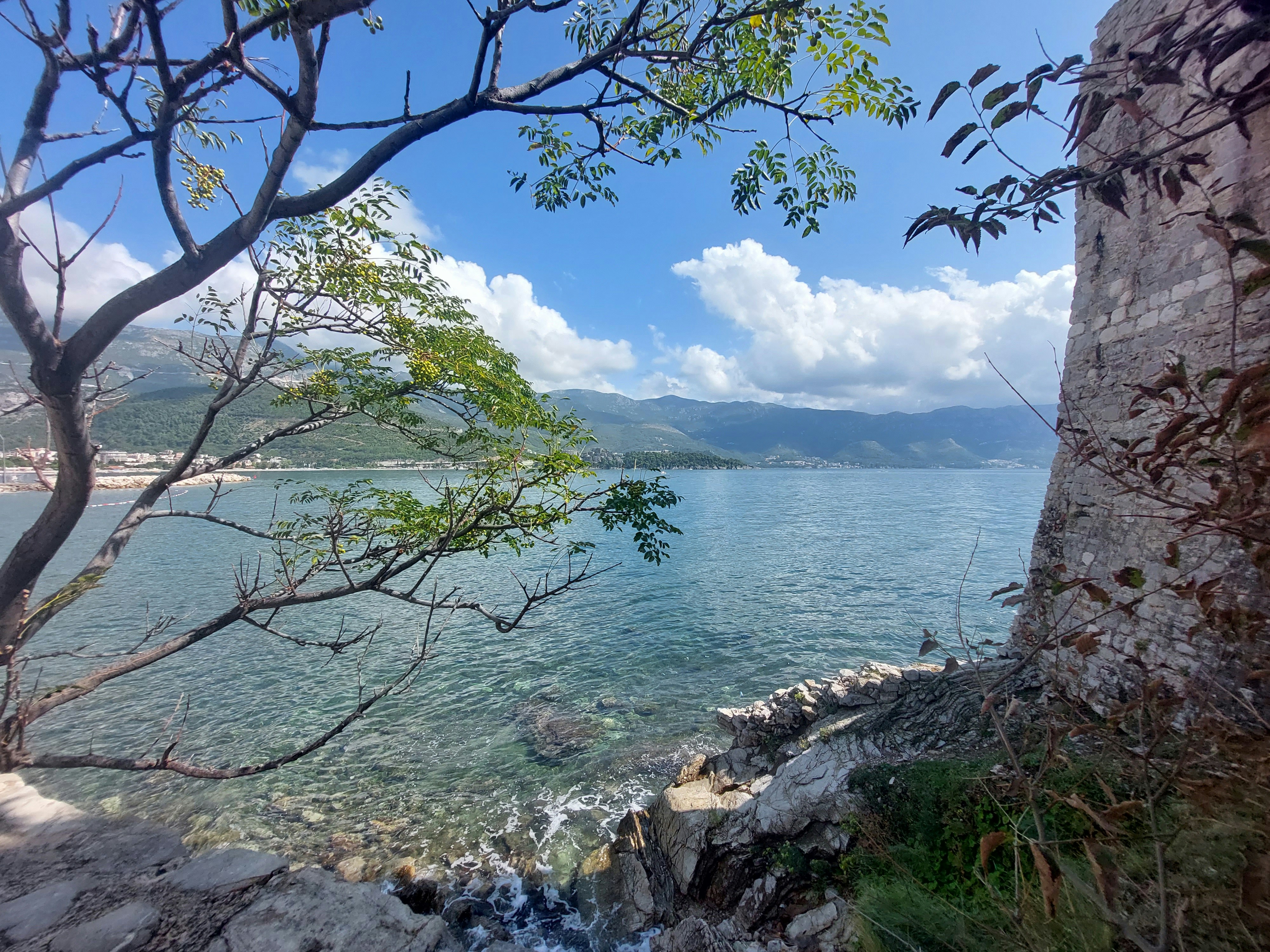 Photo by anna_kharkivska