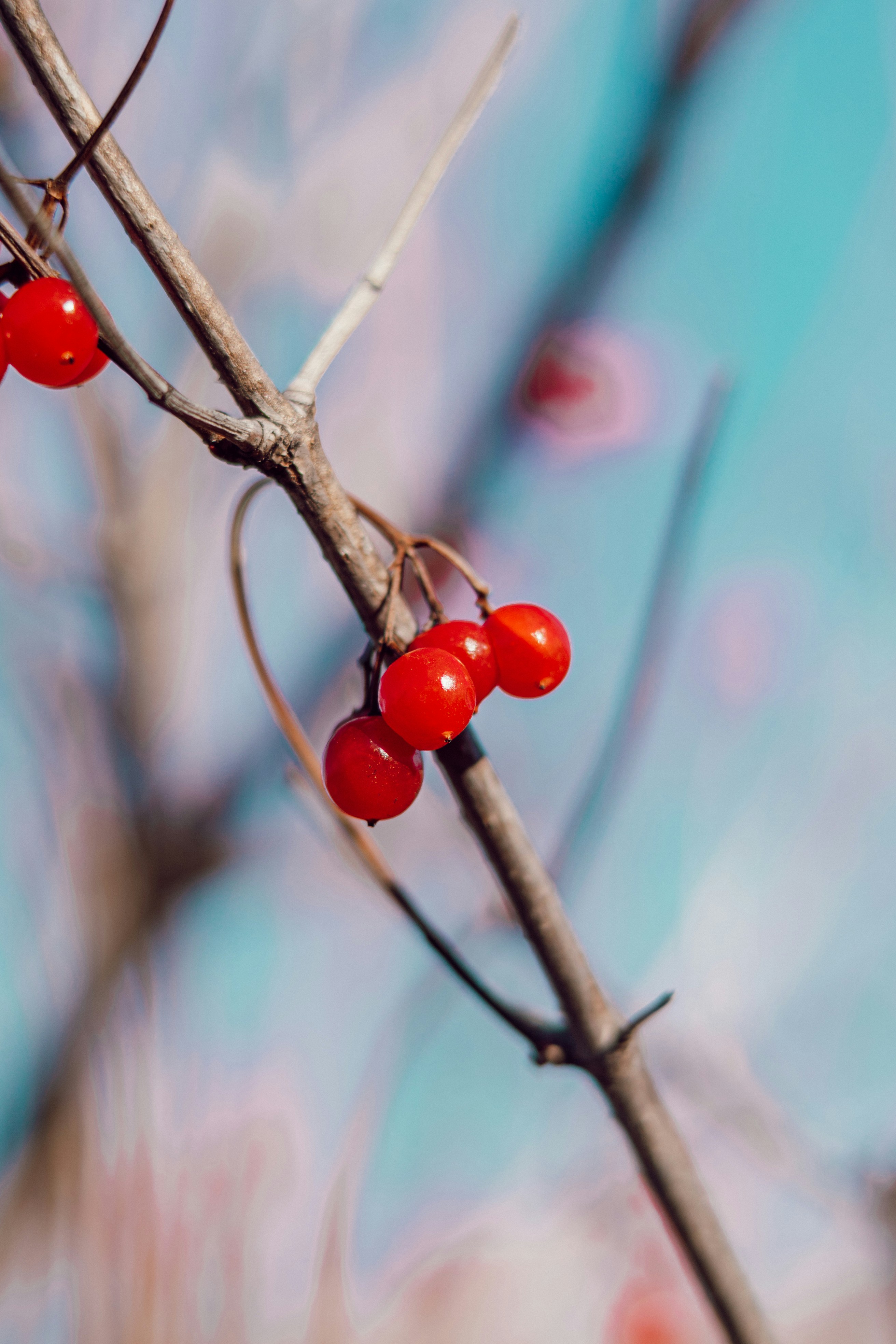 Photo by anamnesis33