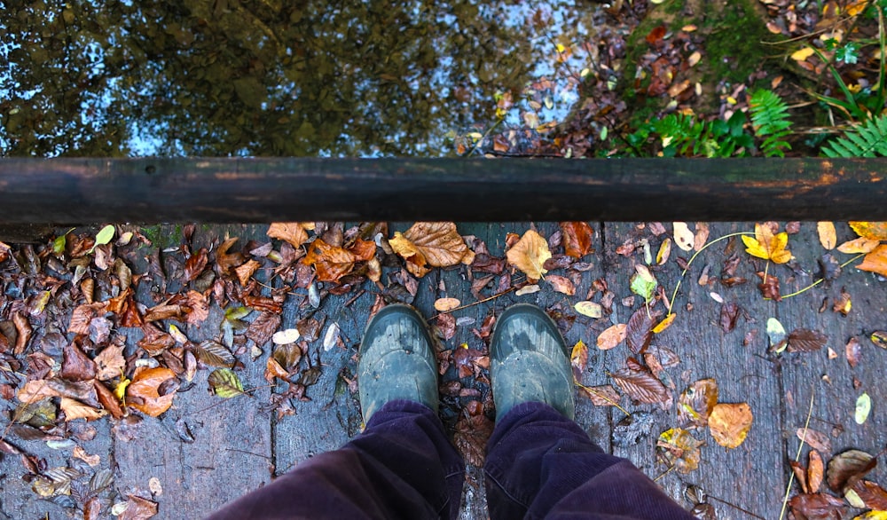 a person standing on a wooden walkway surrounded by leaves