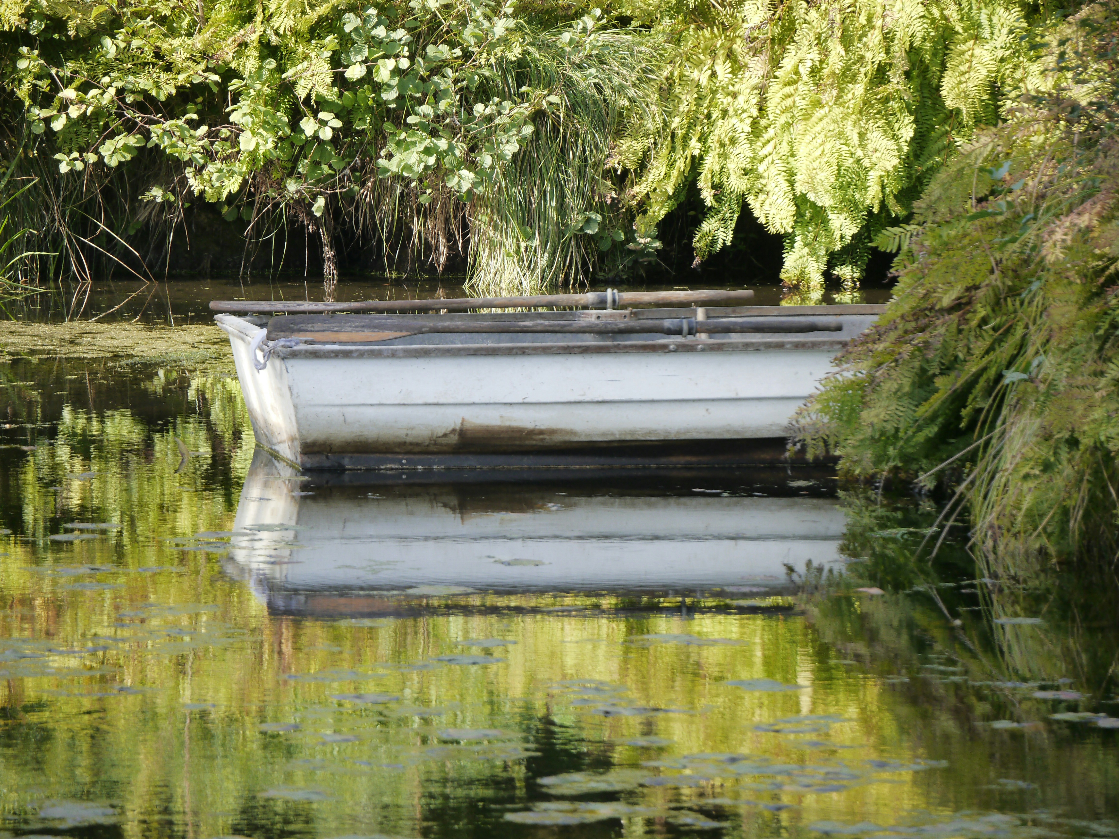 a small white boat floating on top of a lake