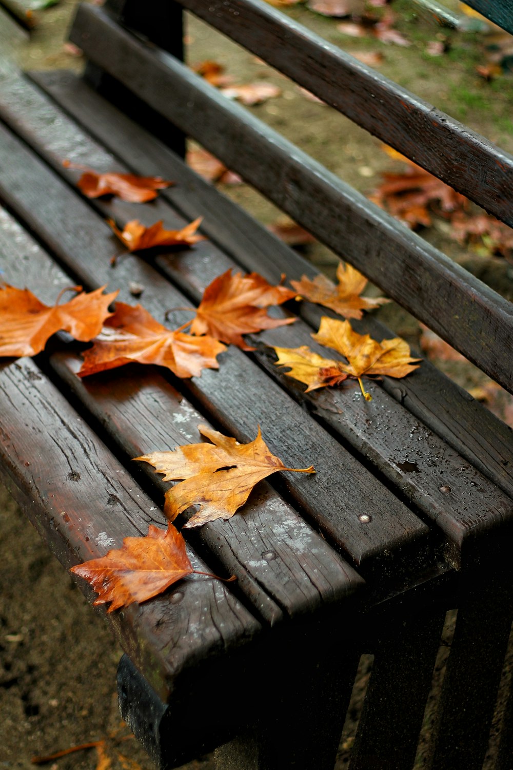a wooden bench with fallen leaves on it