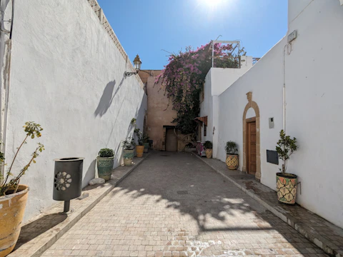 A narrow, ivy-covered alleyway leading to a sunlit courtyard filled with blooming flowers.