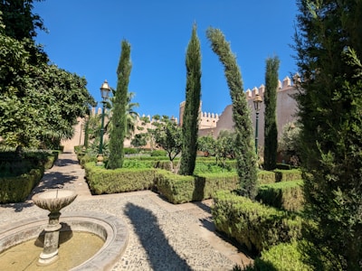 Classic villa garden with stone pathway and olive trees
