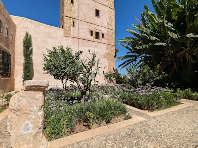 A garden with lush greenery and small flowering plants, surrounded by stone pathways. A tall, beige stone tower with small windows stands prominently to the left, accompanied by stone walls. Large leafy plants and palm trees are visible on the right, contributing to the tropical feel.