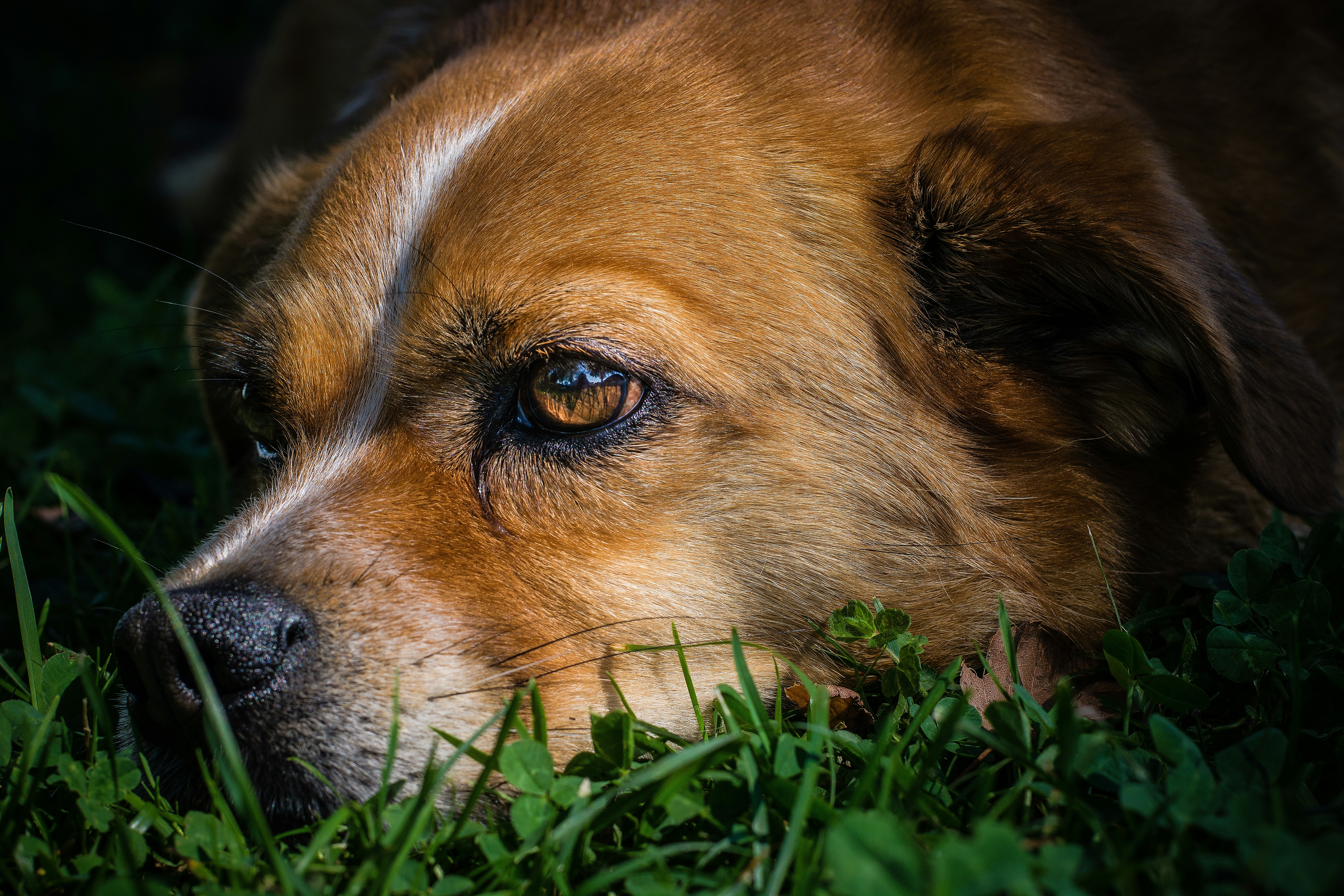 Photo by brendanruehli