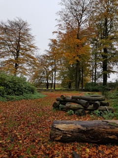A fierce battle scene where magic and swords clash amidst swirling autumn leaves.