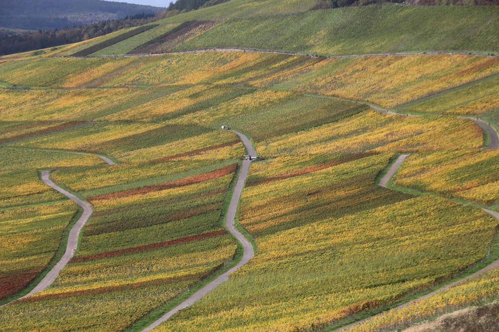 a winding road in the middle of a field