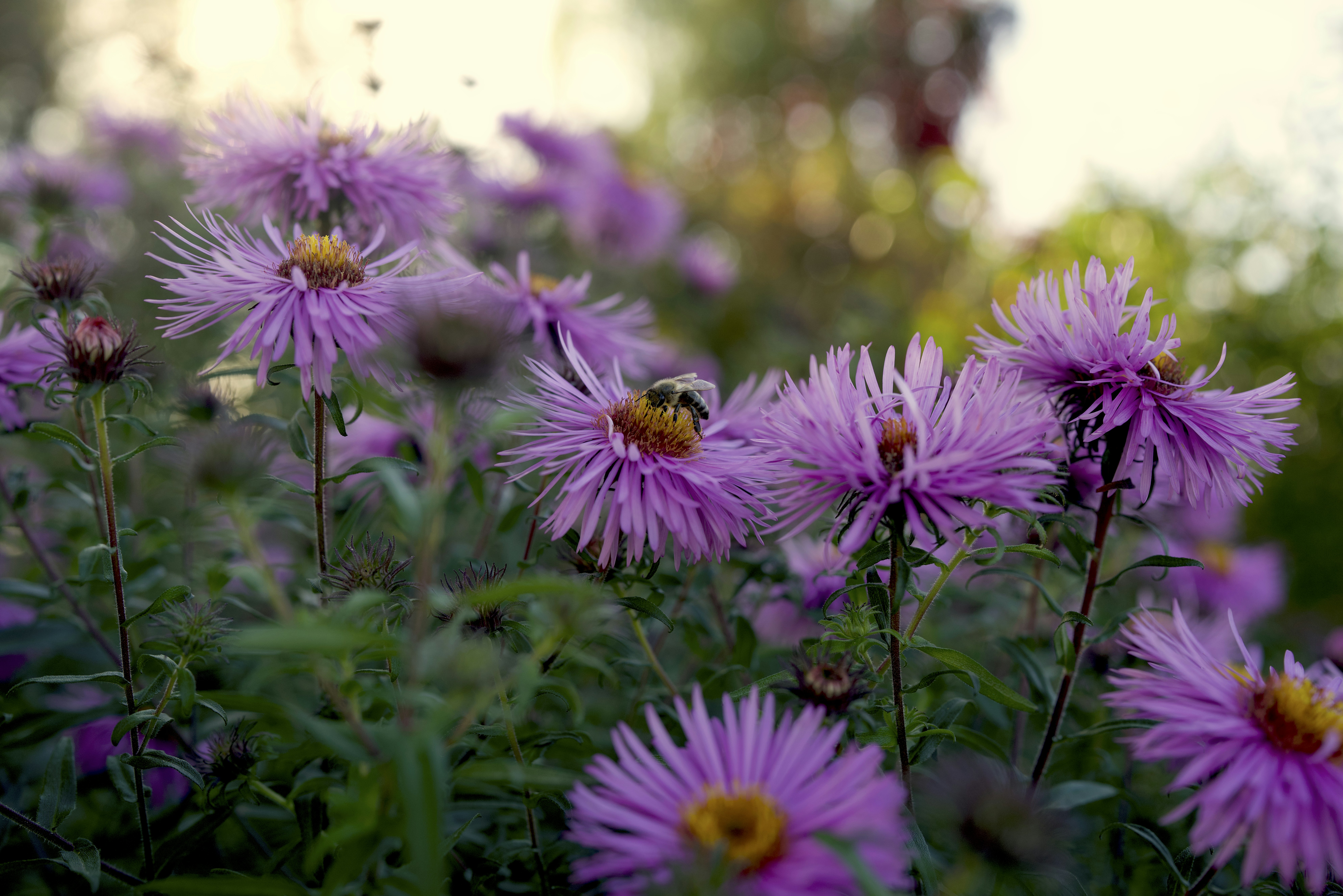 Photo by yuliya_grch