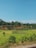 A vibrant farm landscape showcasing diverse crops like macadamia and sugarcane under a clear blue sky.