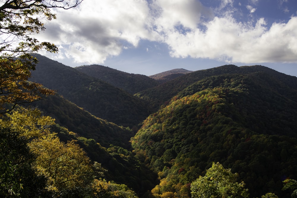 a view of a mountain range with trees in the foreground