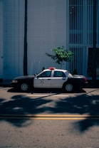 A black and white police car is parked on a street in front of a large white building with vertical lines. A small green tree is to the right of the vehicle, casting a shadow on the sidewalk.