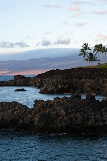 A scenic coastal landscape featuring rough volcanic rocks and a calm blue ocean. On the right side, several tall palm trees are silhouetted against a clear sky with light clouds. In the background, distant mountains create a serene and tranquil ambiance.