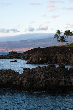A scenic coastal landscape featuring rough volcanic rocks and a calm blue ocean. On the right side, several tall palm trees are silhouetted against a clear sky with light clouds. In the background, distant mountains create a serene and tranquil ambiance.