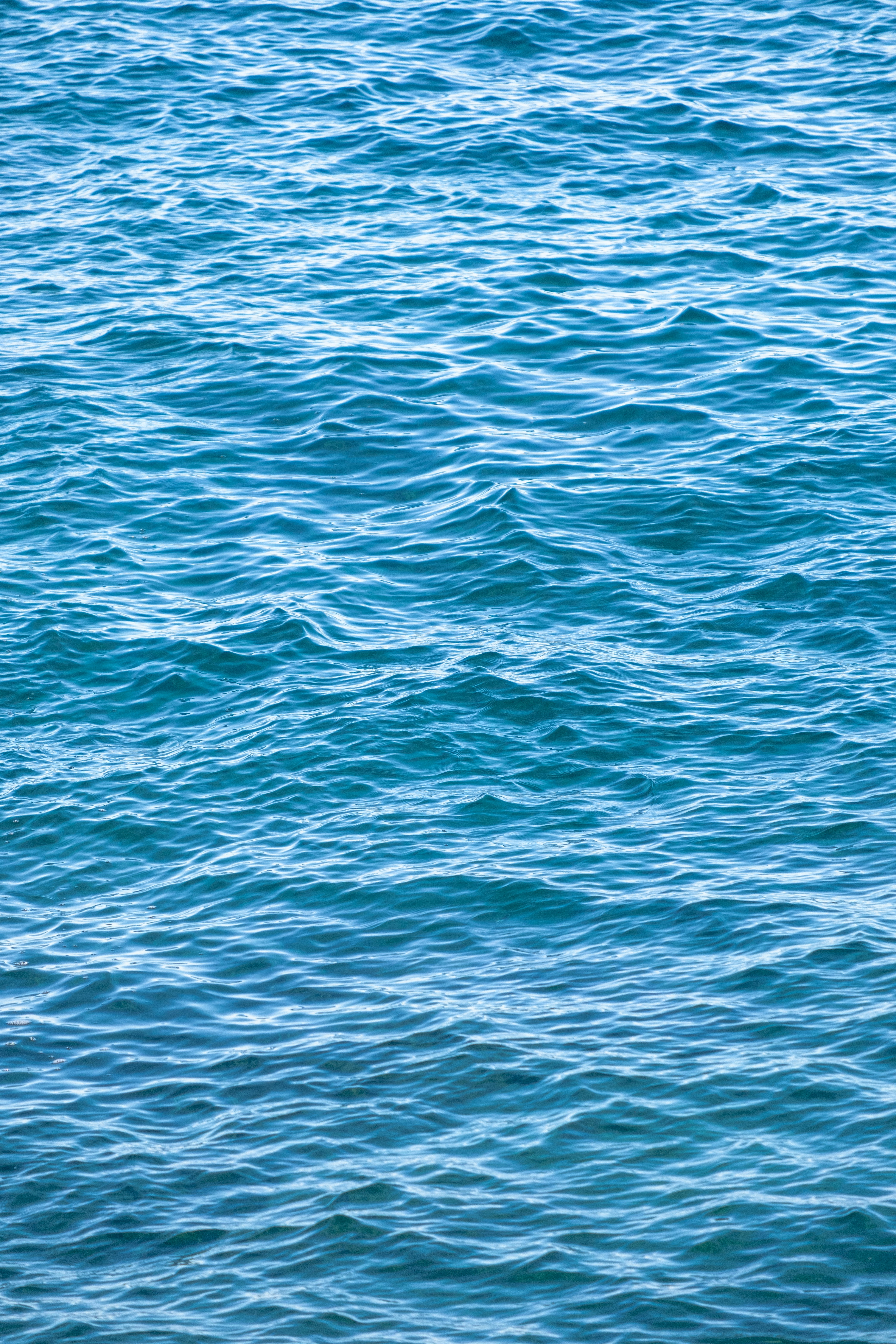 Photo by cestmoisheedy