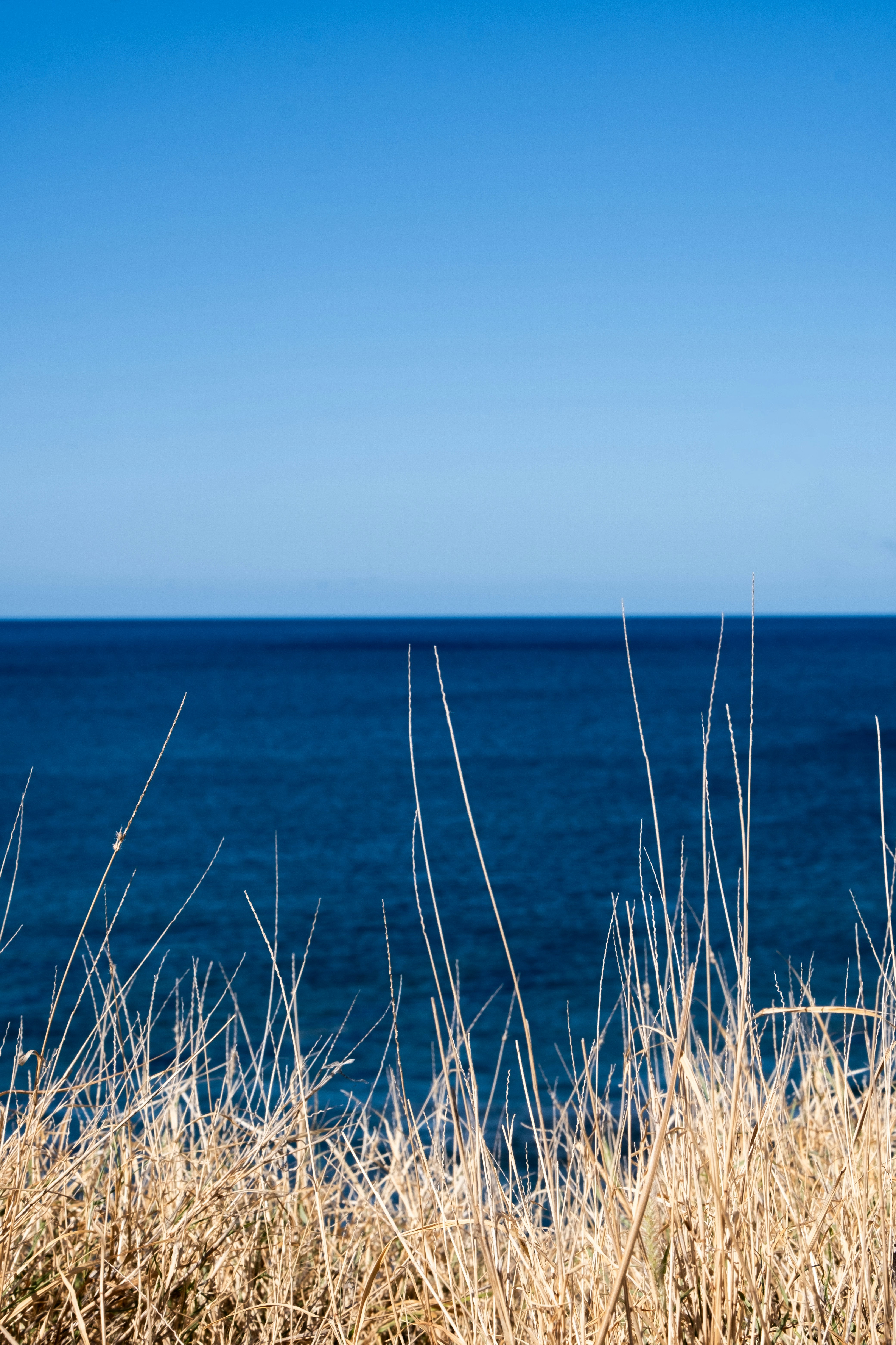 Photo by cestmoisheedy