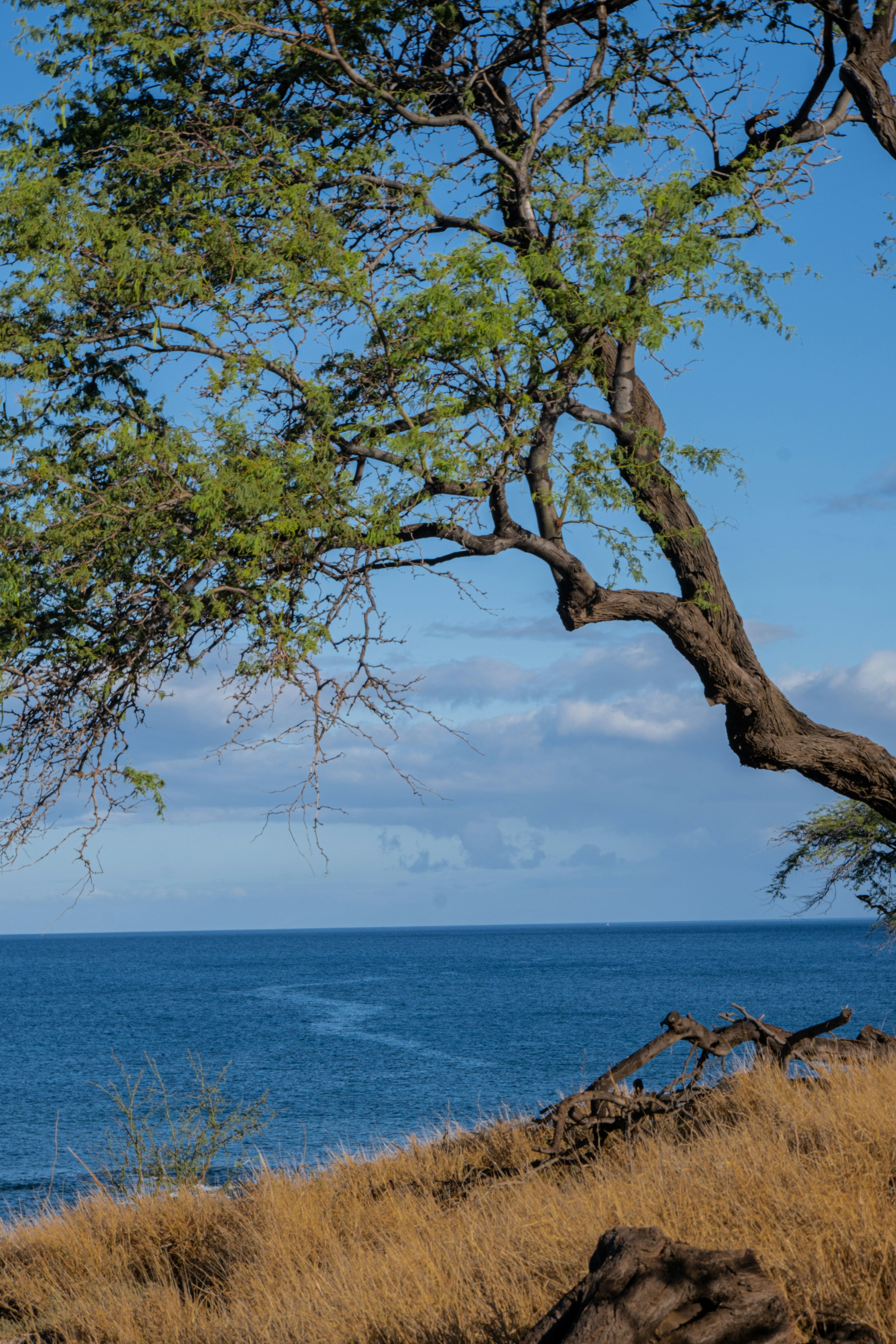 Photo by cestmoisheedy