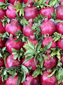 A vibrant display of fresh pomegranates and herbs from an ancient Persian garden.