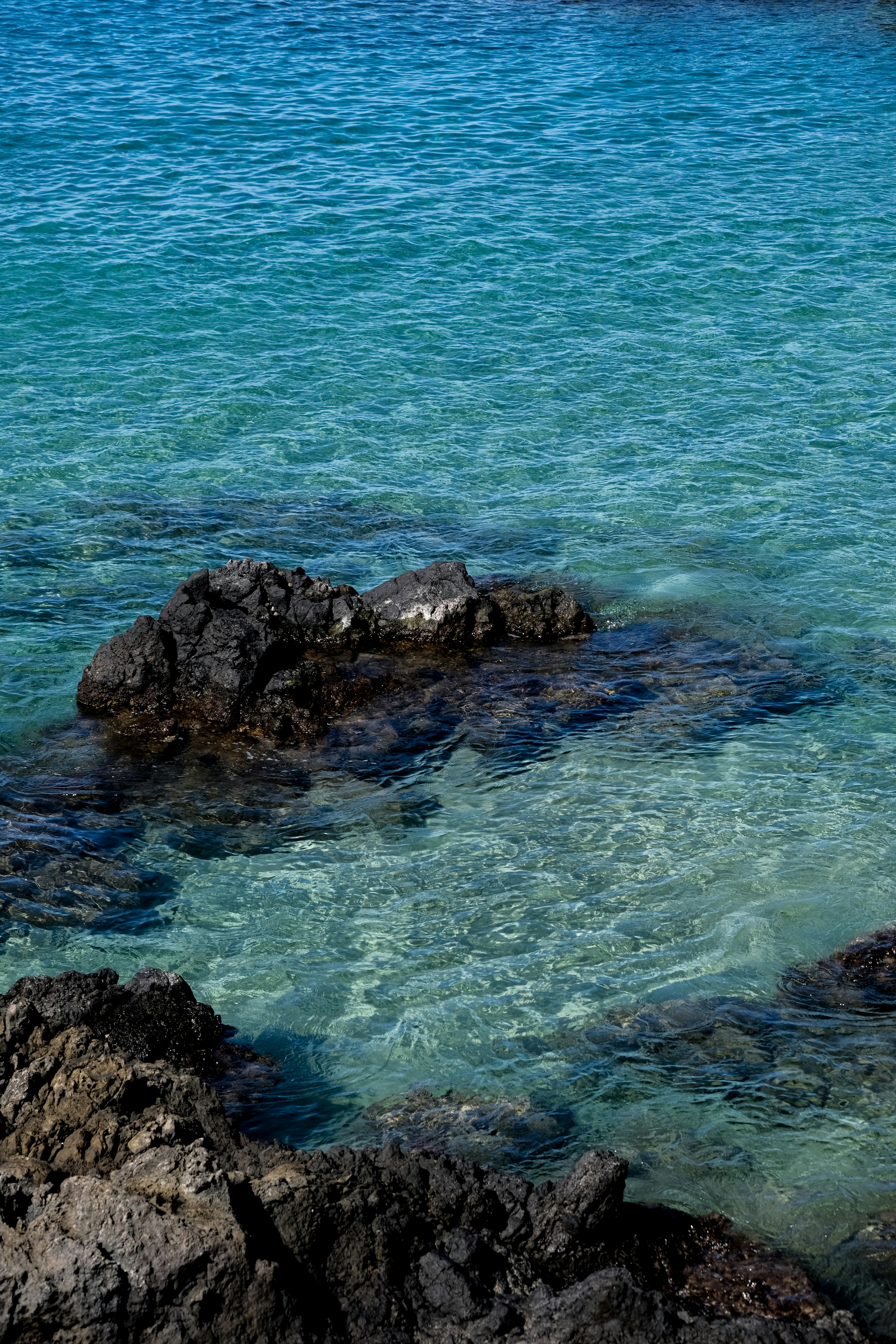 Photo by cestmoisheedy