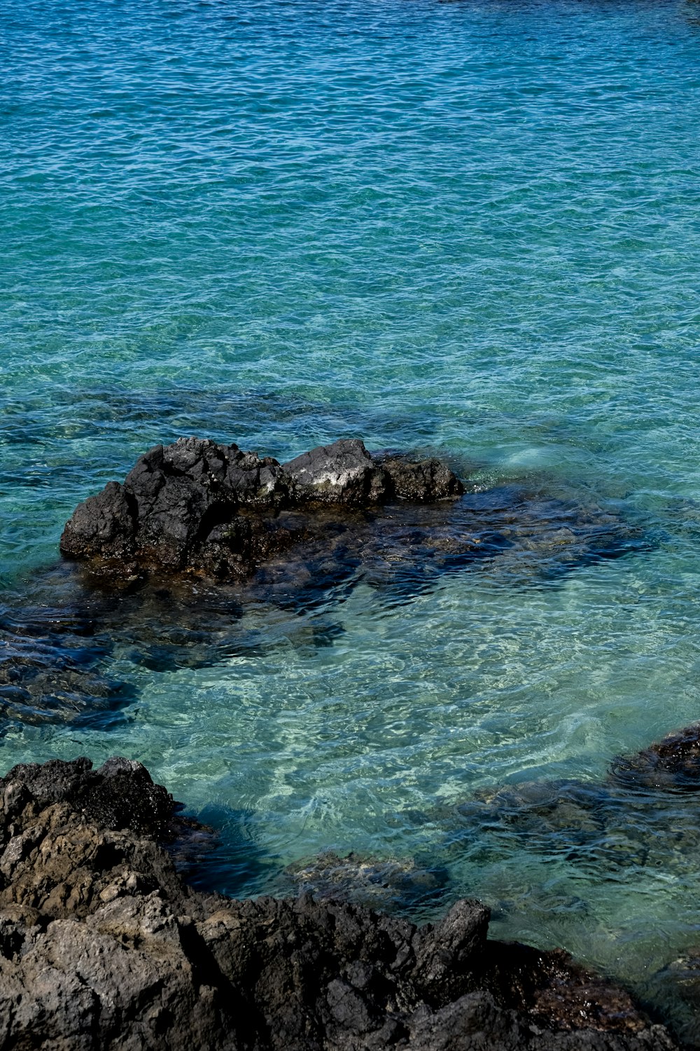 a bird is sitting on a rock in the water