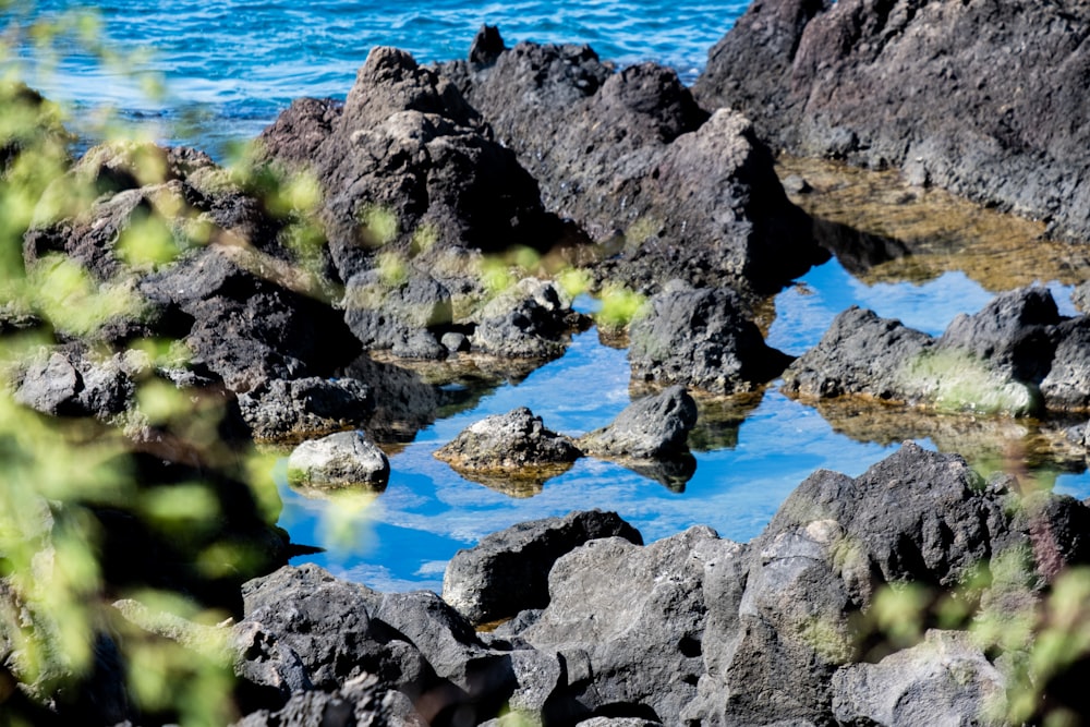 the rocks are covered in water and plants