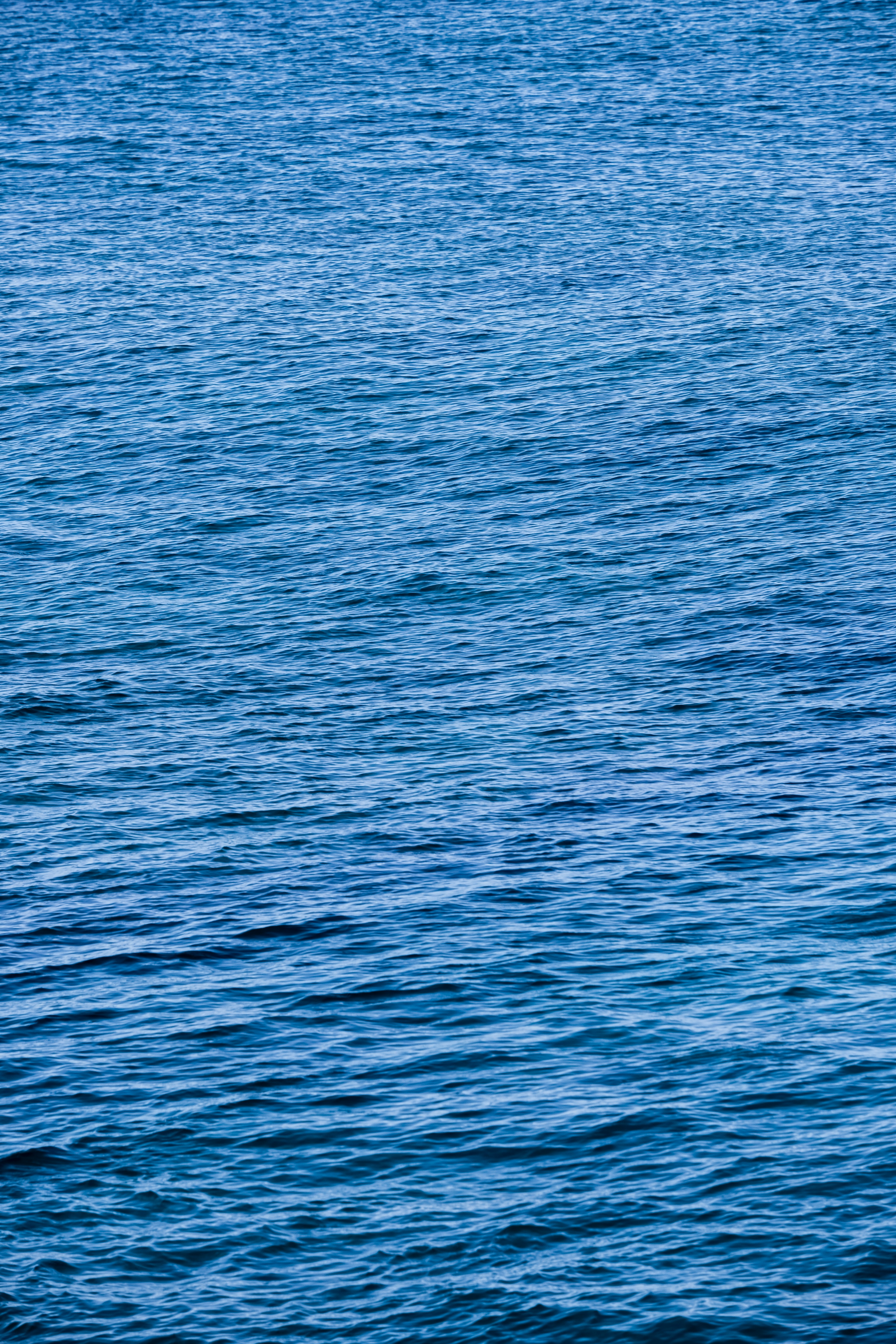 Photo by cestmoisheedy