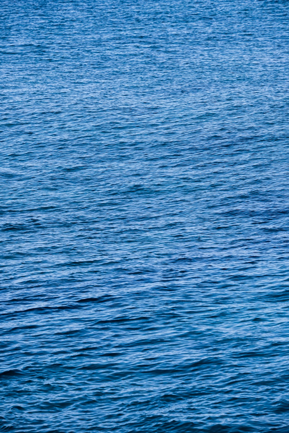 a man riding a surfboard on top of a body of water