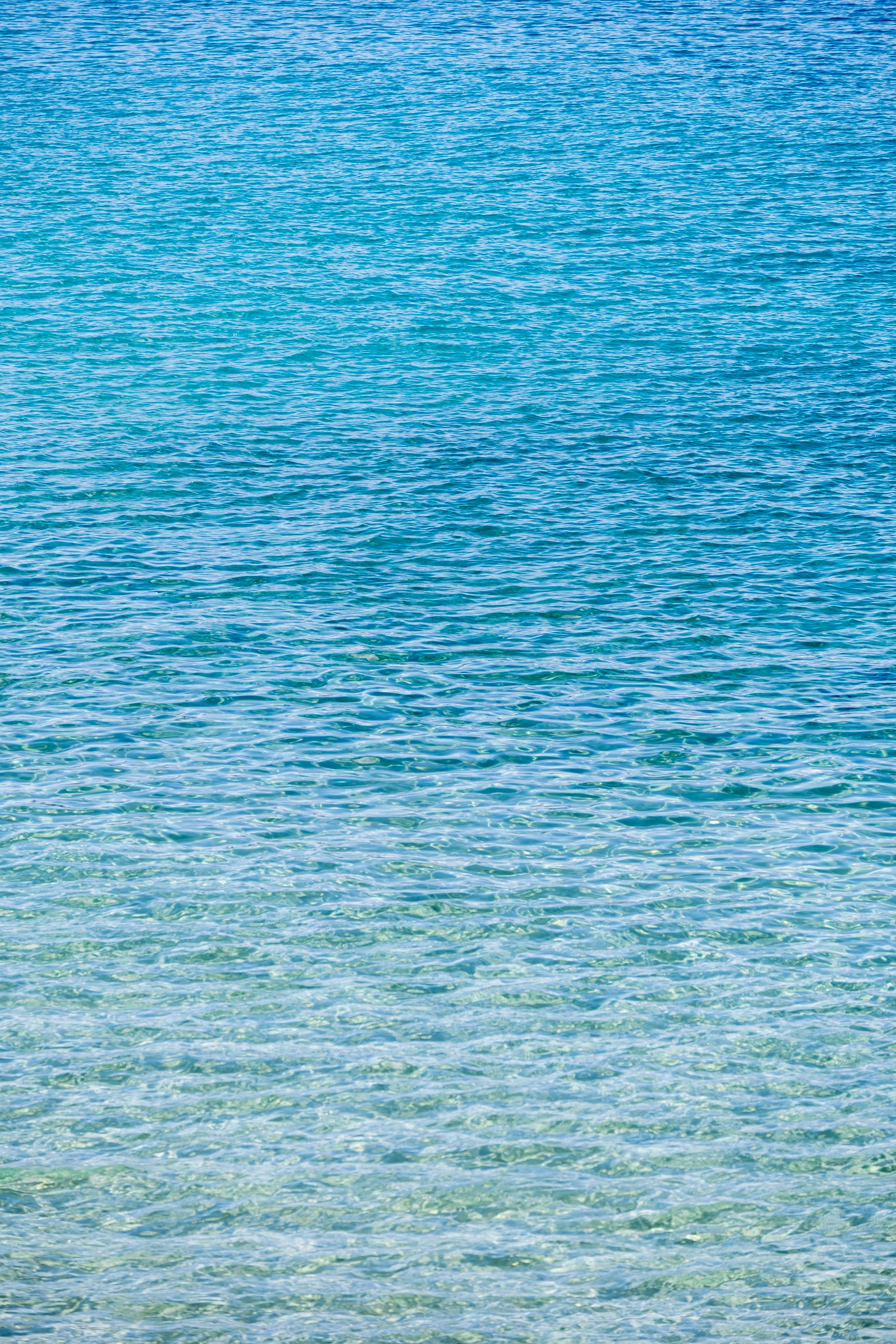 Photo by cestmoisheedy