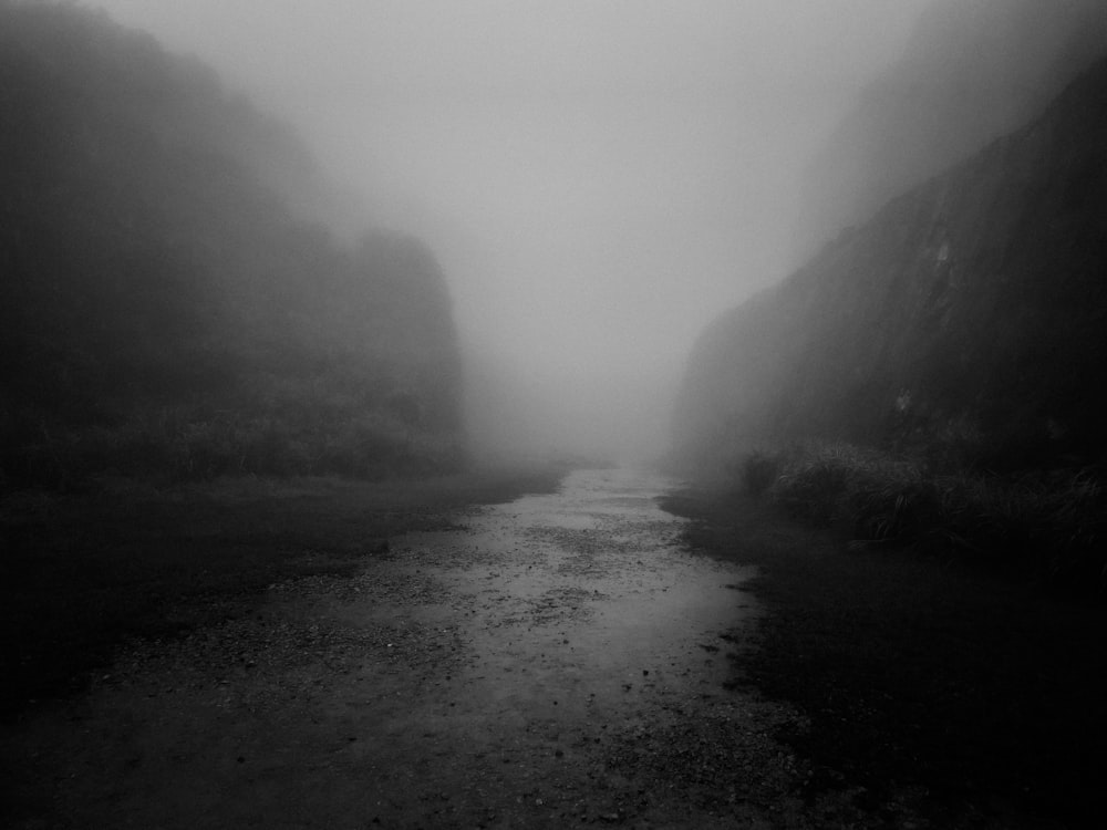 a black and white photo of a river in the fog