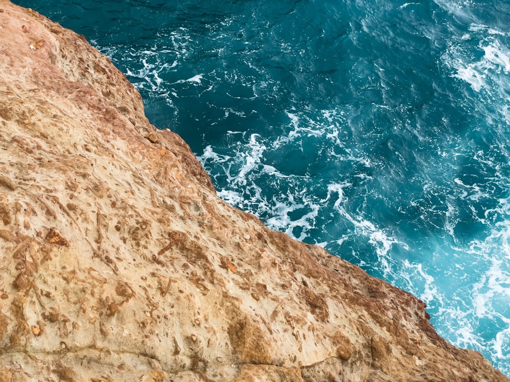 a bird sitting on top of a cliff next to the ocean