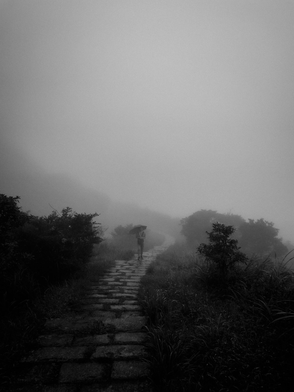 a black and white photo of a person walking on a foggy path