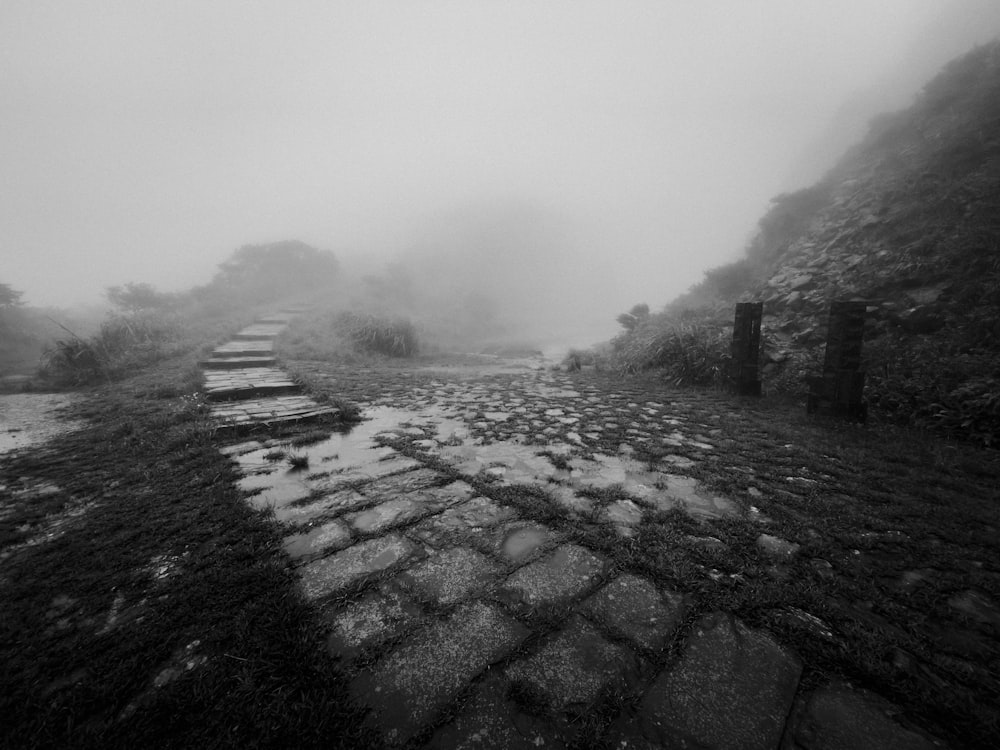 a cobblestone road on a foggy day