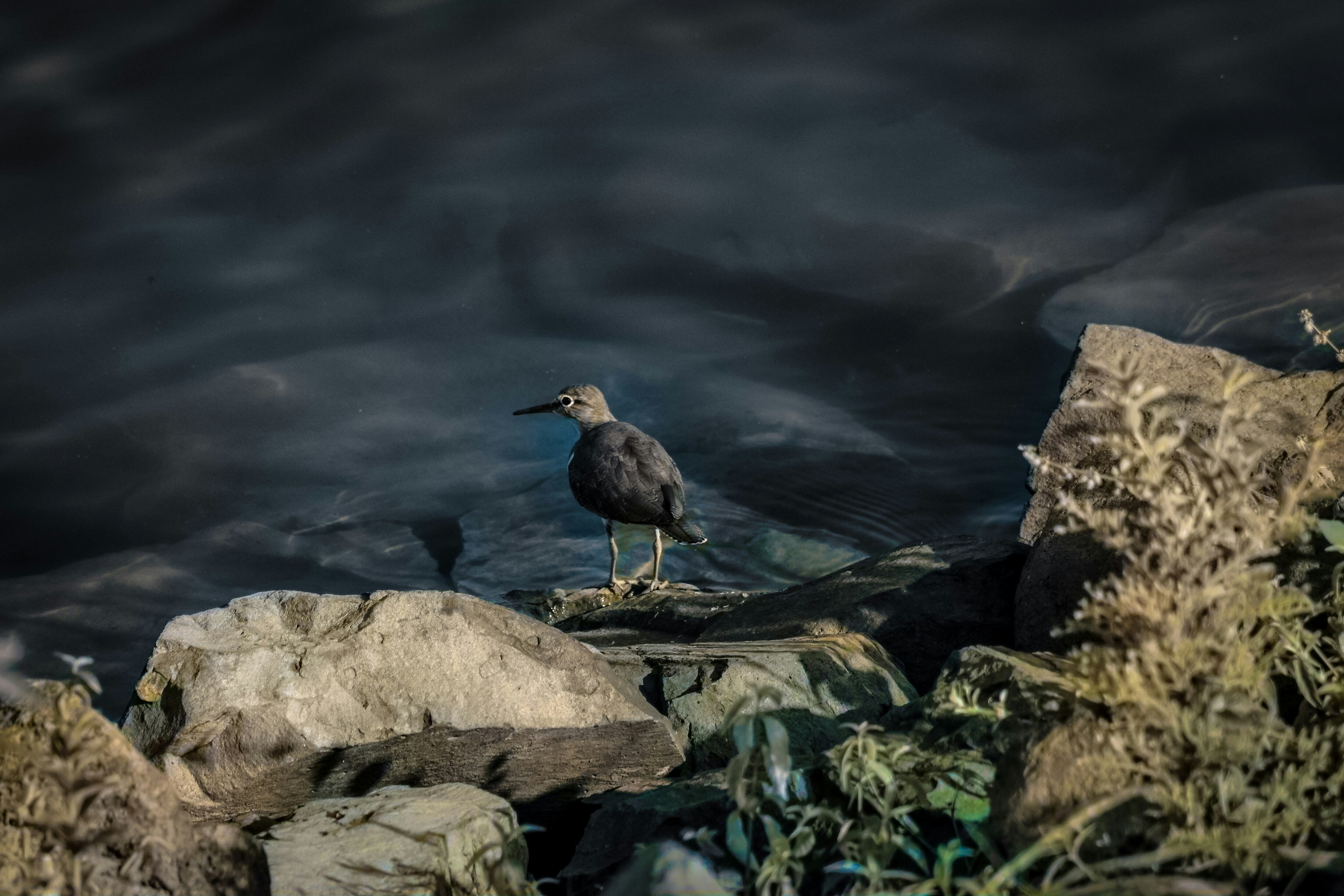 Photo by garv_4
