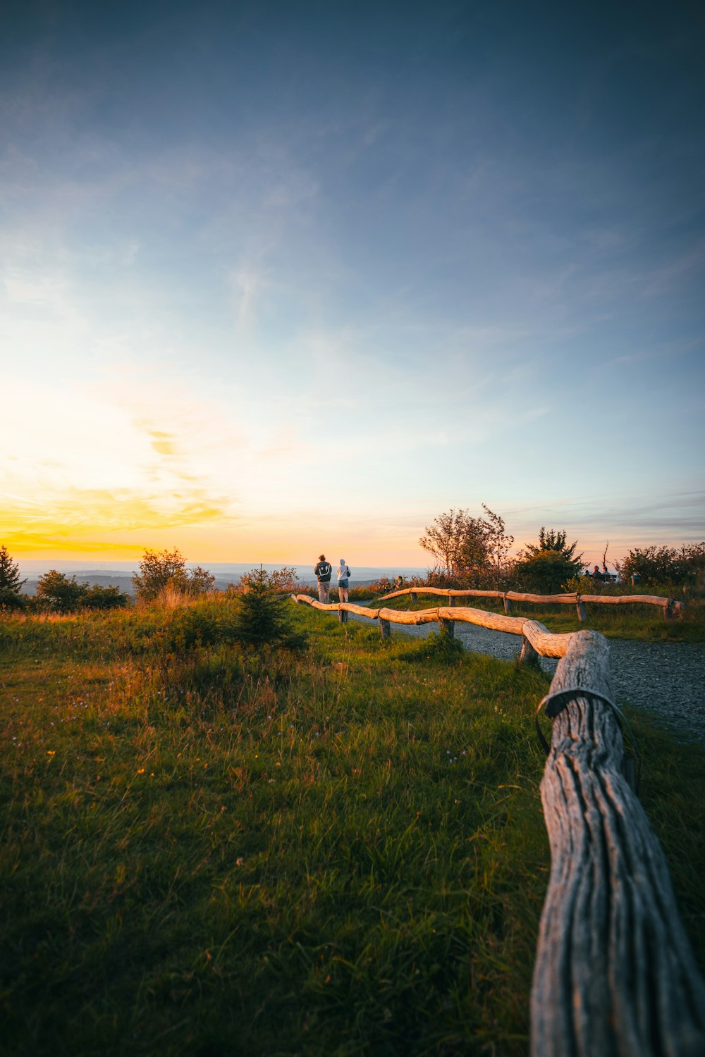 a wooden bench sitting on top of a lush green field