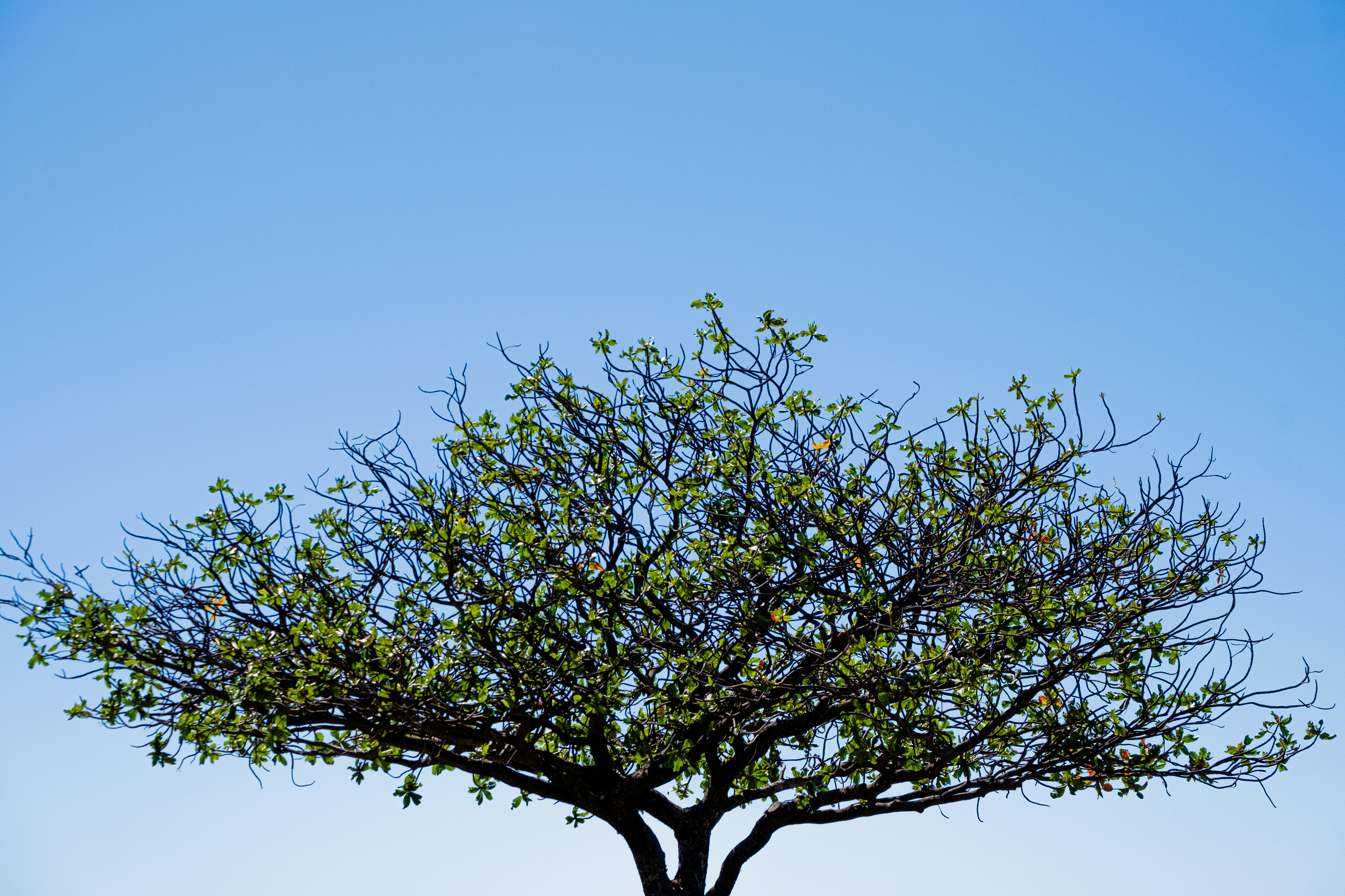 Photo by cestmoisheedy