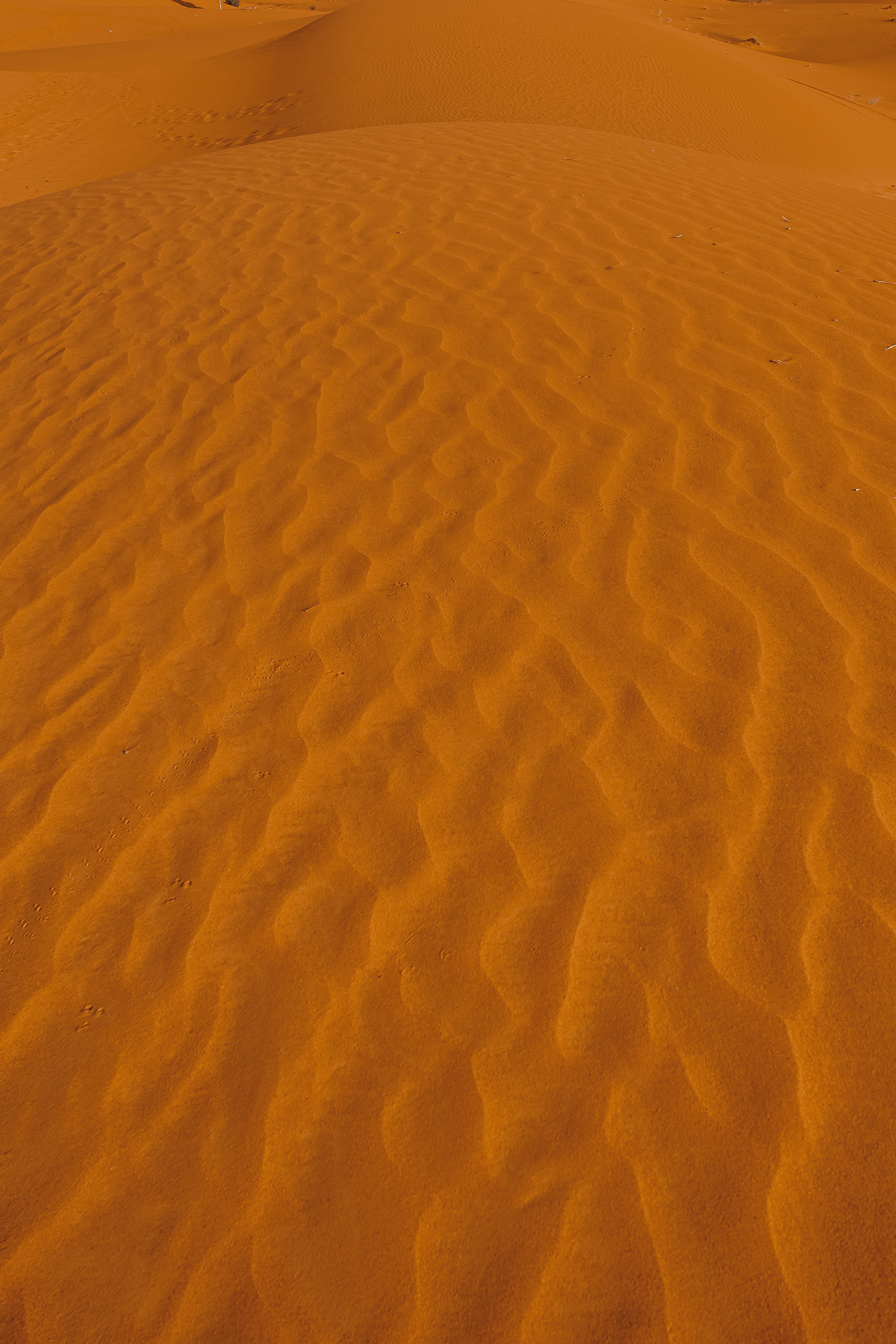 Photo by limamauro23