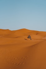 a lone tree in the middle of a desert