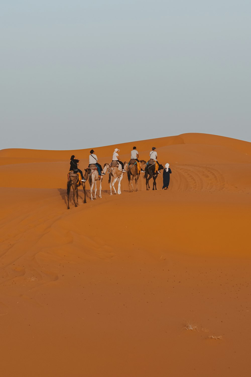 a group of people riding on the backs of horses in the desert