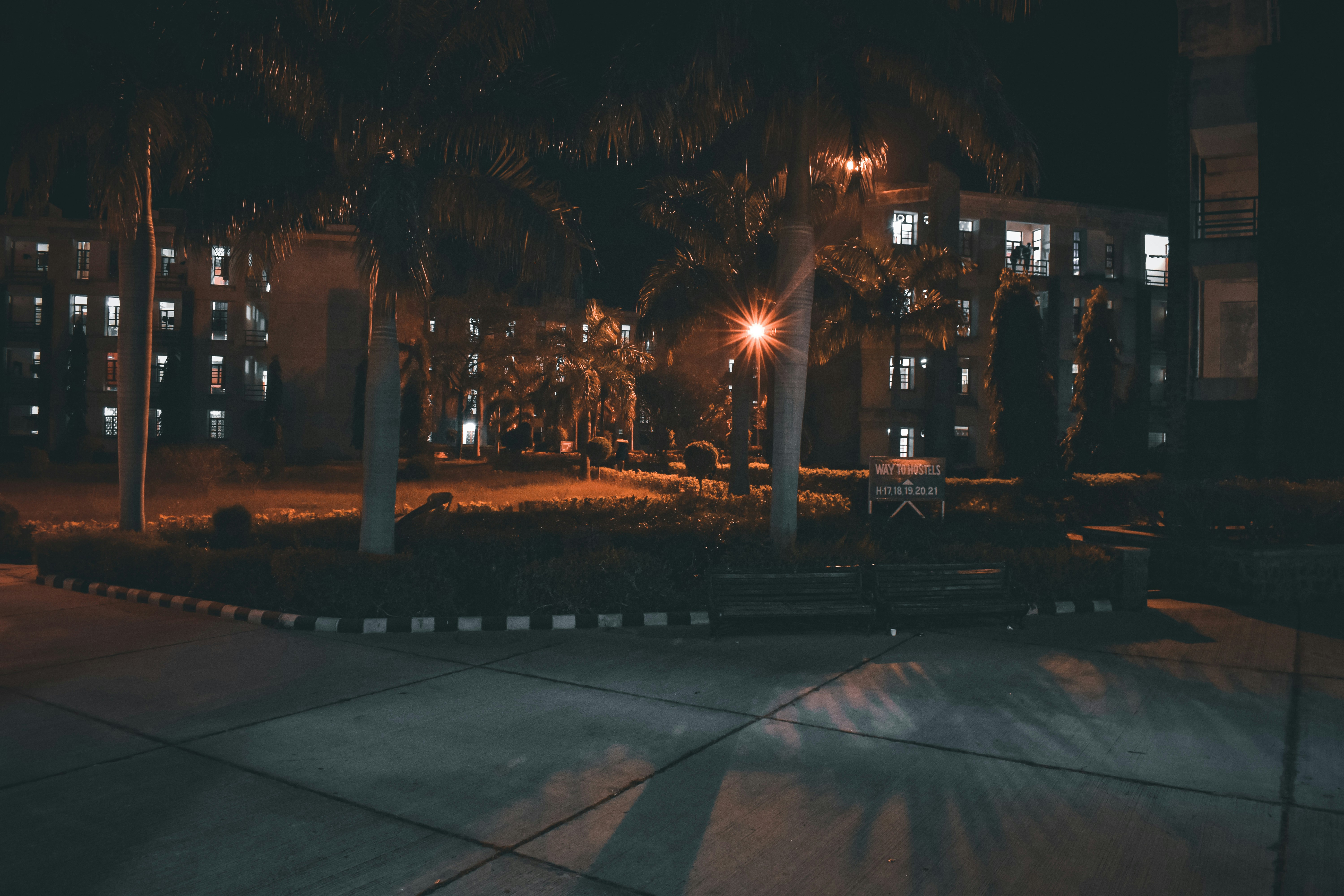 a night scene of a building and a street light