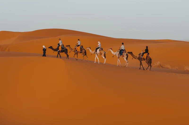 Camel caravan crossing the Erg Chebbi dunes