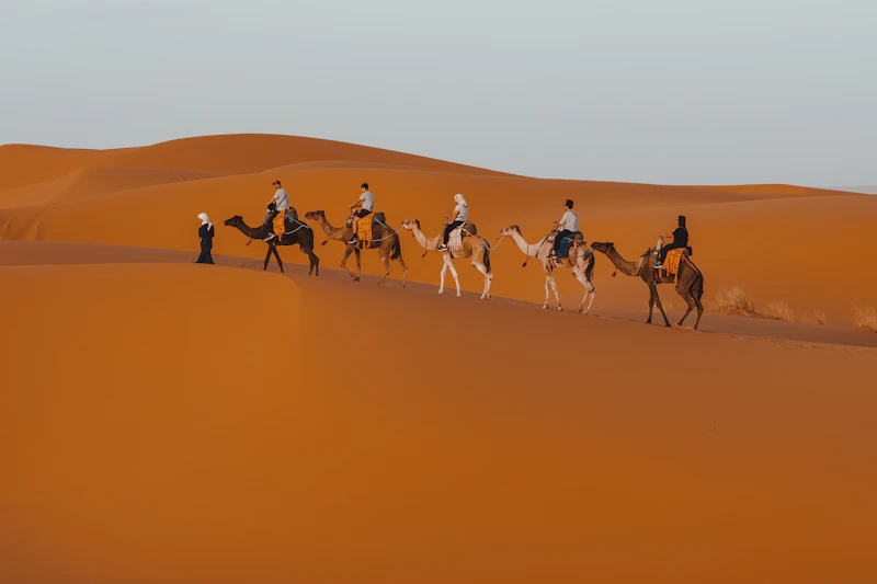A group riding camels across the dunes of Merzouga