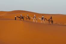 Caravana de dromedarios en el Erg Chebbi