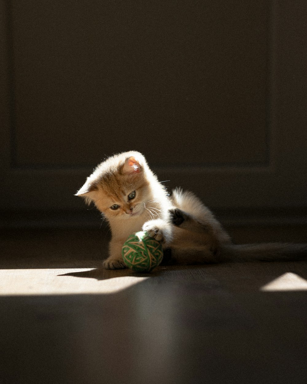 a kitten playing with a toy on the floor
