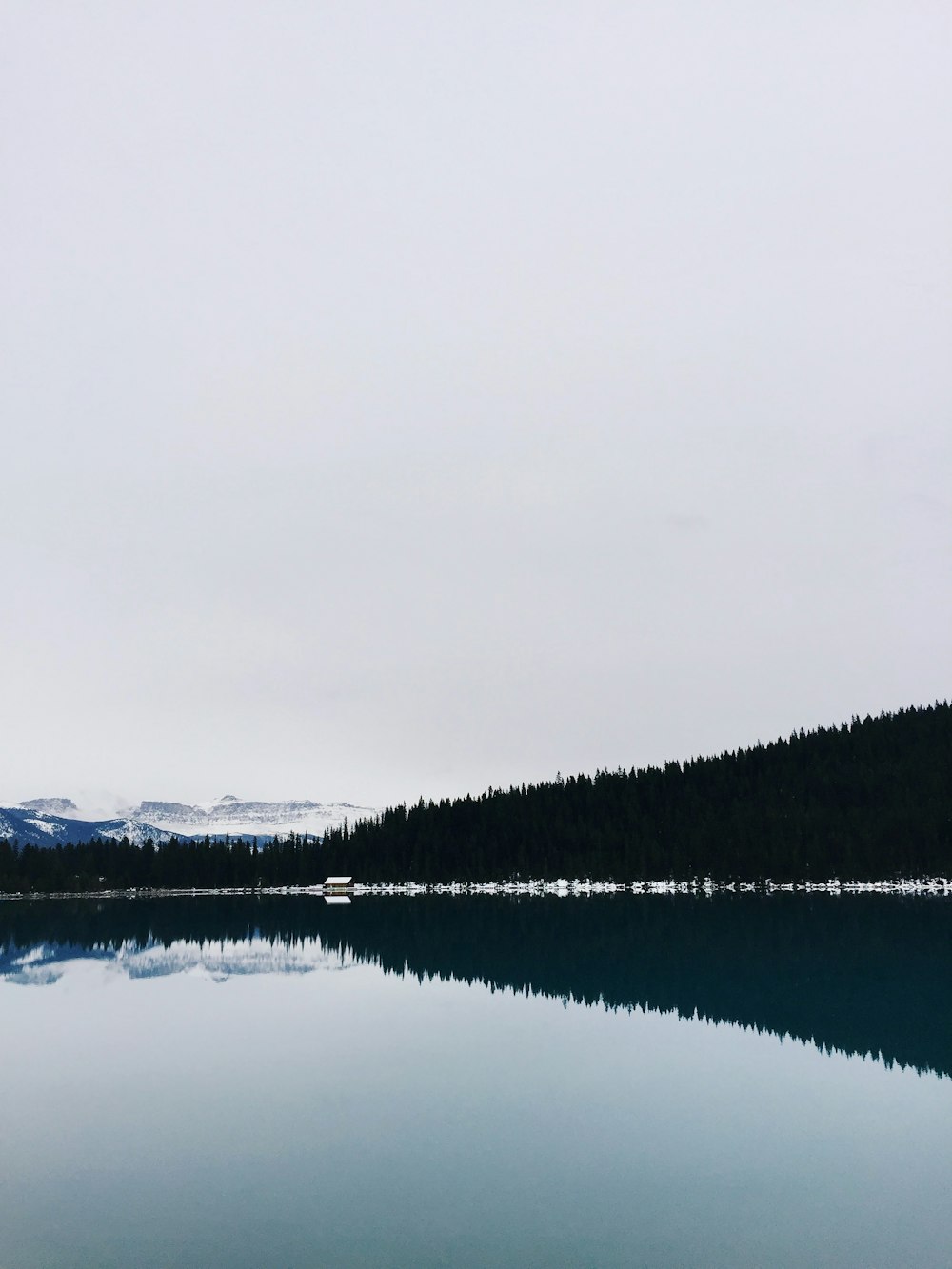 a large body of water surrounded by a forest