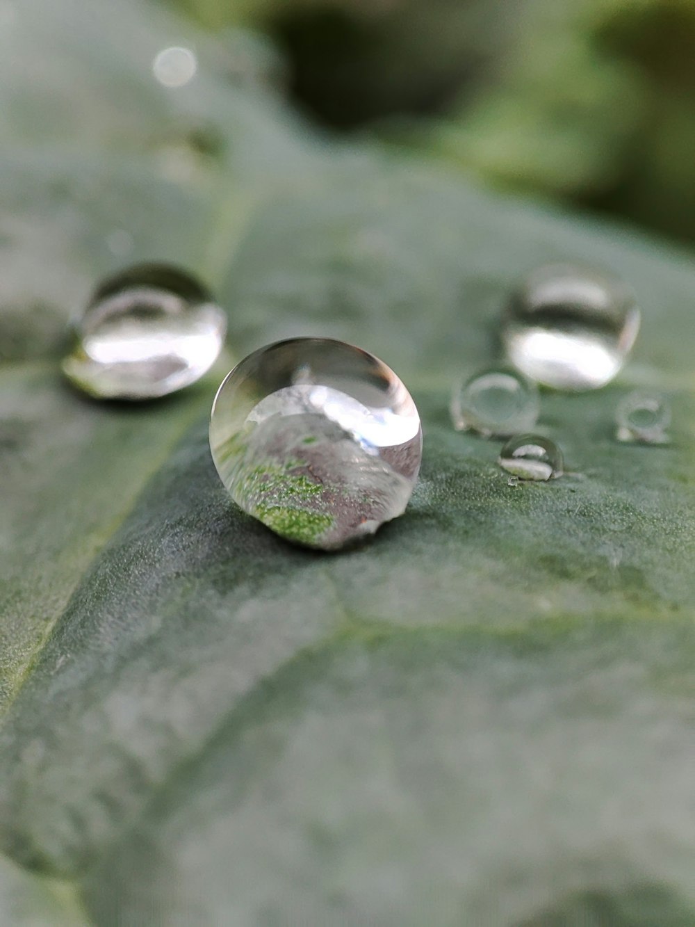 three drops of water sitting on top of a leaf