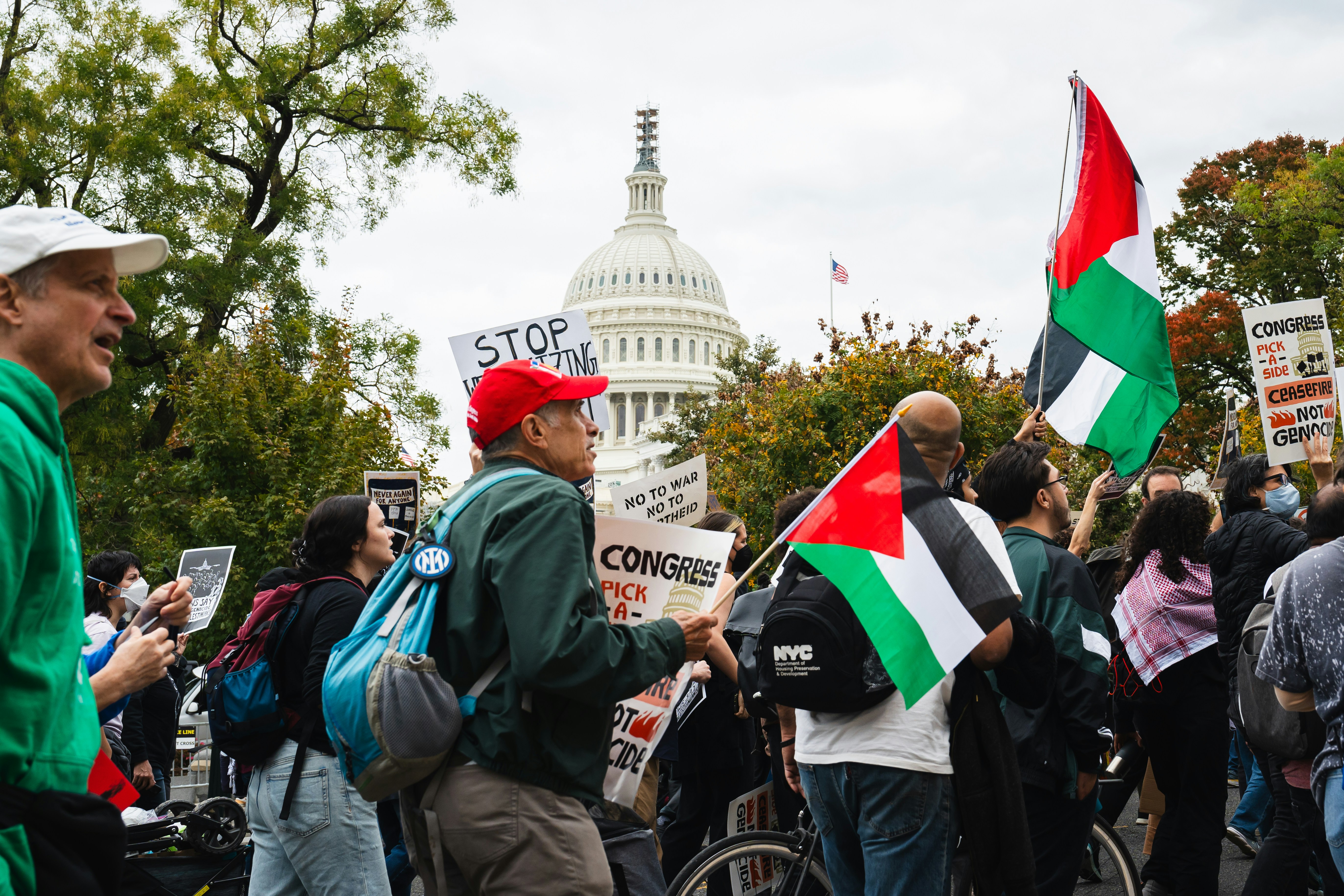a group of people holding flags and signs, Free Palestine