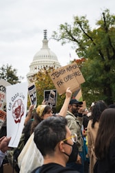 A peaceful rally with citizens holding signs advocating for liberty.