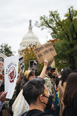 A peaceful protest with signs advocating for fairness and reason in governance.